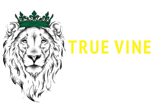True Vine Academy